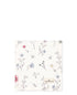 S_COTNAPVEN0108_1