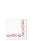 S_PAPNAPLEBA0112_1