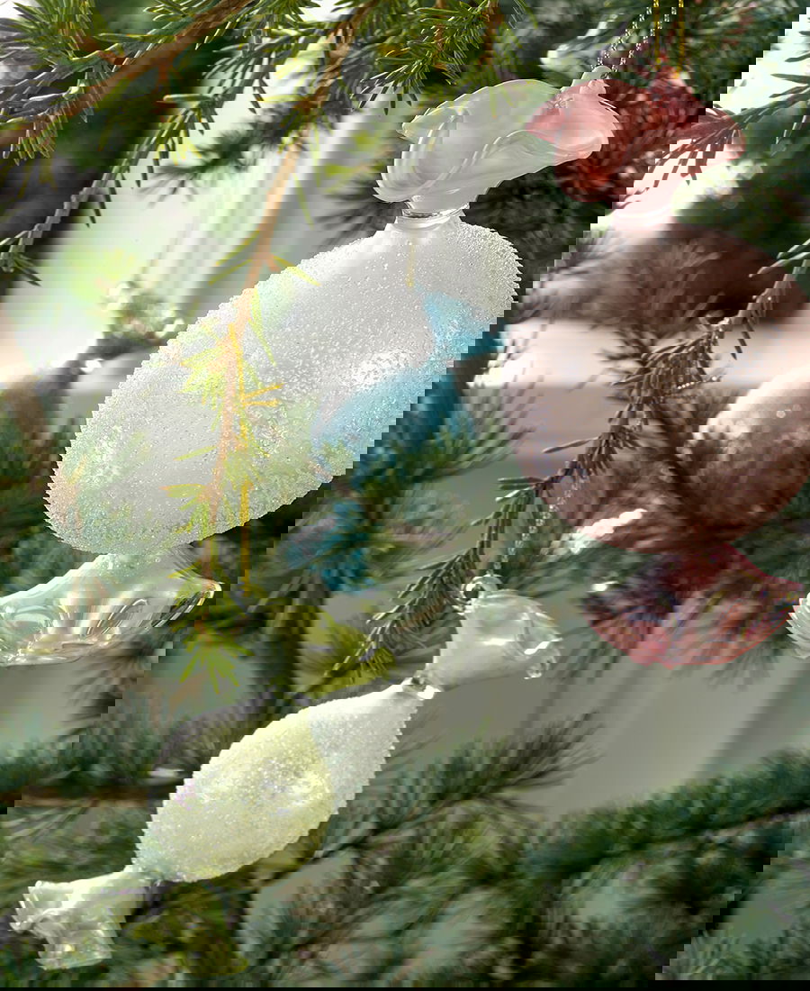 S_XMACAYSBOB3906_4